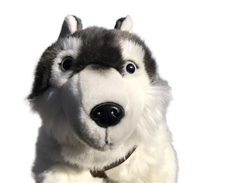MZICXV Simulation Golden Retriever Husky Plüschtier Welpe Tier Plüschpuppe Weich und niedlich Frühe Bildung Geschenk Heimdekoration(Grey) von MZICXV