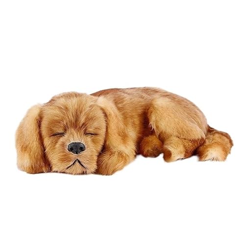 MZICXV Simulation Golden Retriever Plüschtier Niedlicher Welpe Heimtextilien Kunsthandwerk Kindergeschenke MZICXV Simulation Golden Retriever Plüschtier Niedlicher Welpe Heimtextilien Kunsthandwerk Kindergeschenke von MZICXV