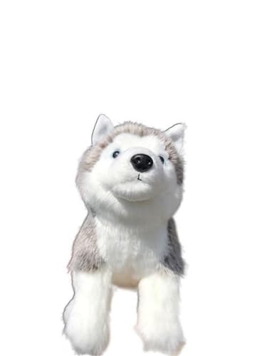 MZICXV Simulation Husky Plüschtier Tier Welpe Plüschpuppe weich und niedlich 's Früherziehung Geschenk Heimdekoration MZICXV Simulation Husky Plüschtier Tier Welpe Plüschpuppe weich und niedlich 's Früherziehung Geschenk Heimdekoration von MZICXV