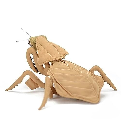 MZICXV Simulation Insekt Totes Blatt Gottesanbeterin Plüschtier weiche Tierpuppe Puppe MZICXV Simulation Insekt Totes Blatt Gottesanbeterin Plüschtier weiche Tierpuppe Puppe von MZICXV