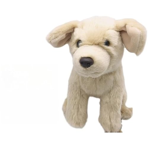 MZICXV Simulation Labrador Plüsch Puppe Welpe Plüsch Spielzeug weich und niedlich 's frühe Bildung Geschenk Home Dekoration MZICXV Simulation Labrador Plüsch Puppe Welpe Plüsch Spielzeug weich und niedlich 's frühe Bildung Geschenk Home Dekoration von MZICXV