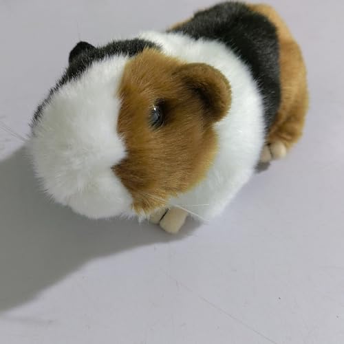 MZICXV Simulation PP-Baumwolle, süßes kleines Meerschweinchen, Plüschpuppe, Hamster, Plüschtier, Früherziehung, Geschenk, Heimdekoration (Cavia porcellus)(Three Colors) von MZICXV