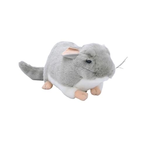 MZICXV Simulation PP Baumwolle Cartoon Chinchilla Plüsch Spielzeug Weich und Niedlich 's Früherziehung Geschenk Home Dekoration MZICXV Simulation PP Baumwolle Cartoon Chinchilla Plüsch Spielzeug Weich und Niedlich 's Früherziehung Geschenk Home Dekoration von MZICXV