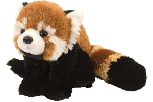 MZICXV Simulation PP Baumwolle Roter Panda Tier Plüsch Spielzeug Weich Und Niedlich 's Früherziehung Geschenk Hause Dekoration(30cm) von MZICXV