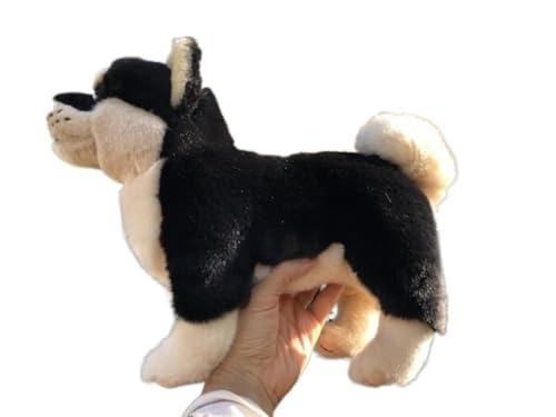 MZICXV Simulation Schwarz Shiba Inu Plüsch Puppe Stehende Haltung Welpen Plüsch Spielzeug Weiche Und Niedliche Kleine Tier Frühen Bildung Geschenk Hause Dekoration MZICXV Simulation Schwarz Shiba Inu Plüsch Puppe Stehende Haltung Welpen Plüsch Spielzeug Weiche Und Niedliche Kleine Tier Frühen Bildung Geschenk Hause Dekoration von MZICXV