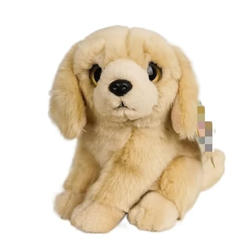MZICXV Simulation Welpen-Plüschpuppe, Verschiedene Rassen, Welpen-Plüschspielzeug, weich und niedlich, Begleiter, Geschenk, Heimdekoration(Gold) von MZICXV