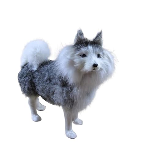 MZICXV Simulation Welpenpuppe Husky Heimtextilien Tiermodell Handwerk Kindergeschenke MZICXV Simulation Welpenpuppe Husky Heimtextilien Tiermodell Handwerk Kindergeschenke von MZICXV