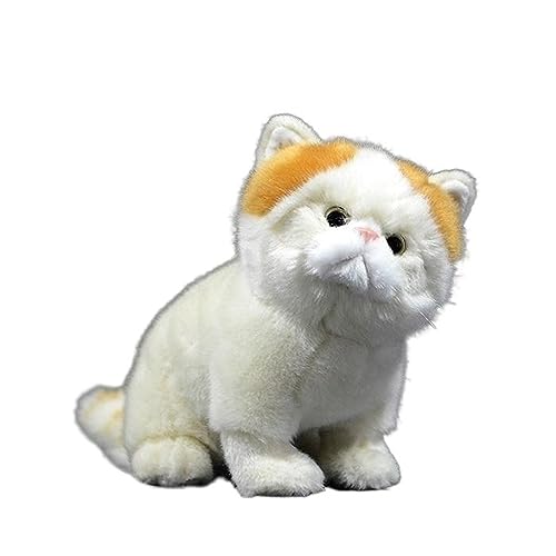 MZICXV Simulation exotische kurzhaarige Katze Plüschtier kurzhaarige Perserkatze weiche Puppe MZICXV Simulation exotische kurzhaarige Katze Plüschtier kurzhaarige Perserkatze weiche Puppe von MZICXV