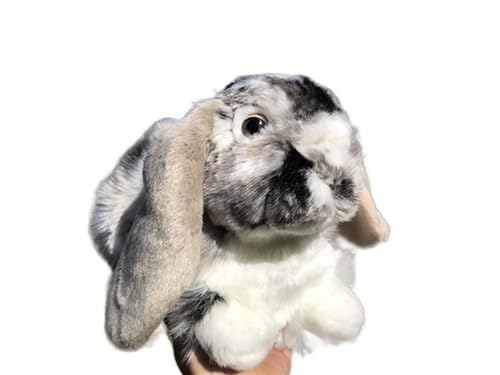 MZICXV Simulation -haariges Hängeohrkaninchen-Plüschtier-Kaninchen-Kleintier-Plüschpuppe, weich und niedlich, Früherziehungsgeschenk, Heimdekoration MZICXV Simulation -haariges Hängeohrkaninchen-Plüschtier-Kaninchen-Kleintier-Plüschpuppe, weich und niedlich, Früherziehungsgeschenk, Heimdekoration von MZICXV