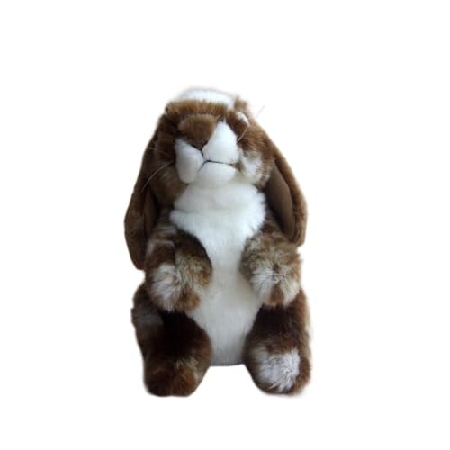 MZICXV Simulation süße Haustier Kaninchen Plüsch Puppe Zwerg Hängeohren Kaninchen Plüsch Spielzeug weiche Hase Puppe Geschenk MZICXV Simulation süße Haustier Kaninchen Plüsch Puppe Zwerg Hängeohren Kaninchen Plüsch Spielzeug weiche Hase Puppe Geschenk von MZICXV