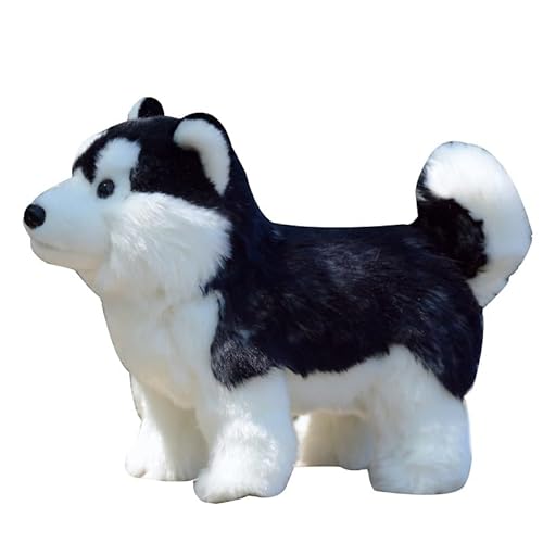 MZICXV Simulation süße Husky Plüsch Spielzeug Welpen Puppe grau Tier Puppe weich und niedlich Geburtstagsgeschenk für von MZICXV