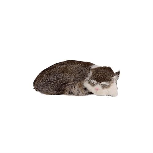 MZICXV Simulation süße Katze schlafende Katze Plüschtier Tier Heimtextilien Kindergeschenk(Brass) von MZICXV