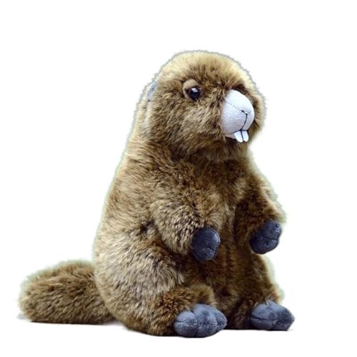 MZICXV Simulation süße Murmeltier Plüsch Puppe Murmeltier Puppe große Zahn Maus Puppe weich und niedlich 's Geburtstagsgeschenk von MZICXV