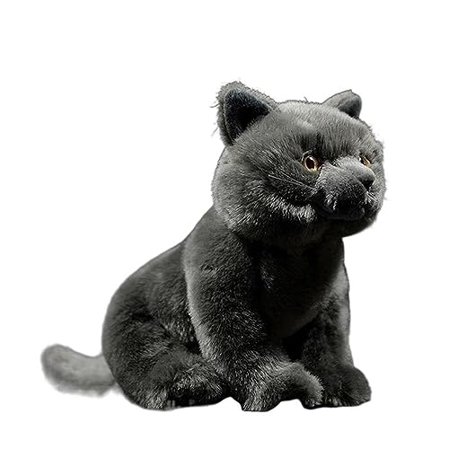 MZICXV Simulation süße britische Kurze Blaue Katze Plüschtier Katze Katze weiche Puppe Tier Puppe Geschenk von MZICXV