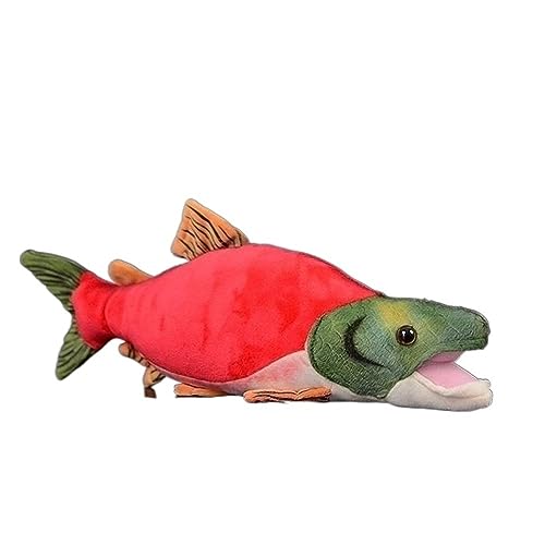 MZICXV Simulation süße rote Lachspuppe roter Lachs weiches Plüschtier Tierpuppe MZICXV Simulation süße rote Lachspuppe roter Lachs weiches Plüschtier Tierpuppe von MZICXV