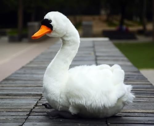 MZICXV Simulation süßer schwarzer Schwan, weißer Schwan, Puppenpaar, Schwan, Plüschtier, Schwanenpuppe, weich und niedlich, Geschenk(White) von MZICXV