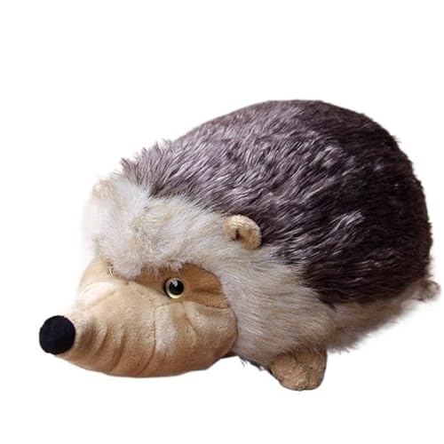 MZICXV Simulation super süße große Igel Puppe Plüschtier westeuropäische Igel Puppe Geschenk weich und niedlich von MZICXV
