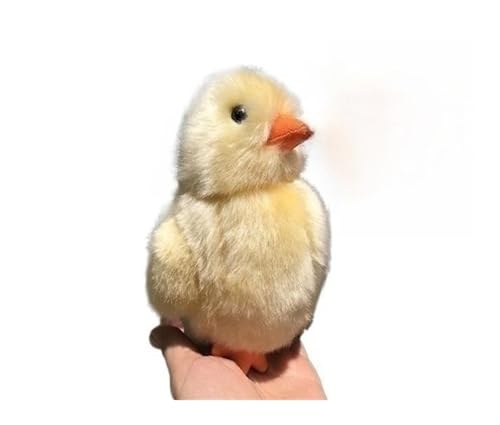 MZICXV Simulation super süßes kleines gelbes Huhn Plüschtier niedliche Tierplüschpuppe weich und niedliches Geschenk Heimdekoration von MZICXV