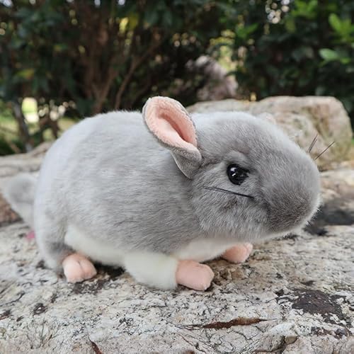 MZICXV Simulierte Chinchilla-Plüschpuppe, Tiermaus-Plüschpuppe, weich und niedlich, Begleiter, Geschenk, Heimdekoration(Grey) von MZICXV