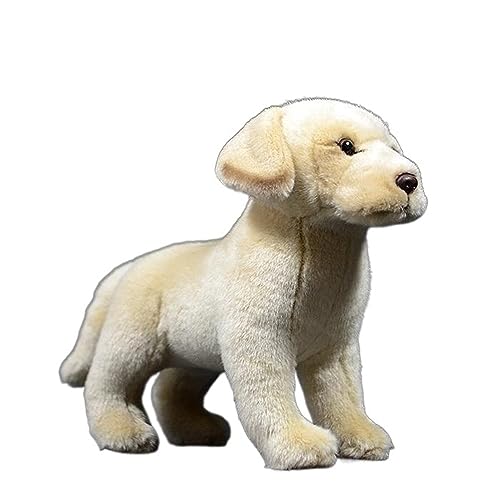 MZICXV Simulierte Hundepuppe Labrador Retriever Puppe Weiches Tierplüschtier MZICXV Simulierte Hundepuppe Labrador Retriever Puppe Weiches Tierplüschtier von MZICXV