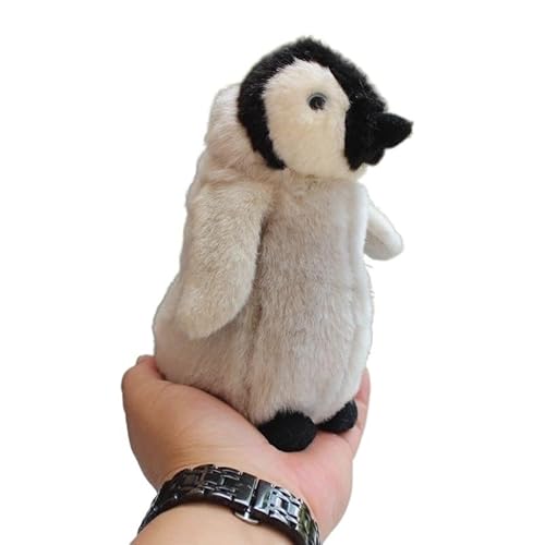 MZICXV Simuliertes Pinguin-Plüschtier, antarktische graue Pinguin-Plüschpuppe, weich und niedlich, Geschenk for die frühe Bildung, Heimdekoration MZICXV Simuliertes Pinguin-Plüschtier, antarktische graue Pinguin-Plüschpuppe, weich und niedlich, Geschenk for die frühe Bildung, Heimdekoration von MZICXV