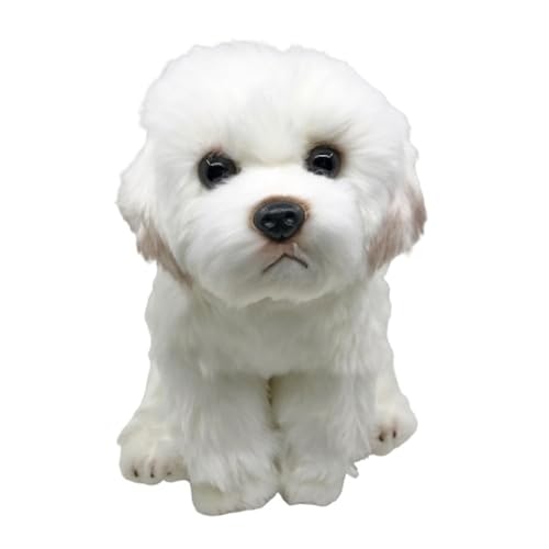 Simulation Malteser Hund Plüschtier, weiche und süße Welpen-Stoffpuppe, Begleitergeschenk for, Heimdekoration(WhiteA(24cm)) von MZICXV