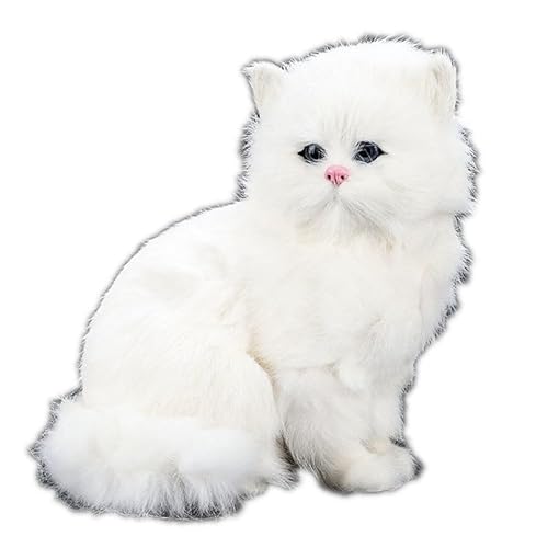 Simulation süße Katze Plüsch Spielzeug Perserkatze Modell Tier Wohnaccessoires Freundin Geschenk(White) von MZICXV