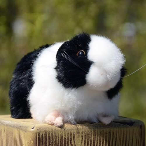 Simulation süße gelbe Meerschweinchen Plüschpuppe Meerschweinchen Tierpuppe Hamster Spielzeug Modell Geschenk(Black) von MZICXV
