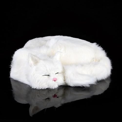 Simulation süße schlafende Katze Plüschtier Tier Kätzchen Modell Geschenk Heimtextilien Begleiter Geschenk(White) von MZICXV