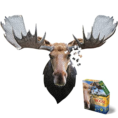 Madd Capp 3006-IAMMoose Games Moose Puzzle, braun von Madd Capp