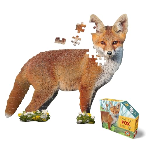 Madd Capp 884001, Shapepuzzle Junior, Konturpuzzle Fuchs, 100 XL Teile Puzzle für Erwachsene und Kinder ab 5 Jahren, Mehrfarbig, One Size Madd Capp 884001, Shapepuzzle Junior, Konturpuzzle Fuchs, 100 XL Teile Puzzle für Erwachsene und Kinder ab 5 Jahren, Mehrfarbig, One Size von Madd Capp