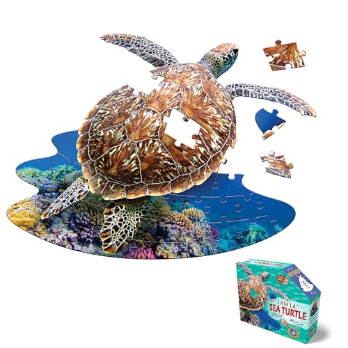Madd Capp: I Am Lil' Meeresschildkröte – 48-teiliges Puzzle – Kinder-Puzzle in Wassertierform, 63,5 x 45,7 cm, Posterreferenz, pädagogisches Spaßfaktenheft Madd Capp: I Am Lil' Meeresschildkröte – 48-teiliges Puzzle – Kinder-Puzzle in Wassertierform, 63,5 x 45,7 cm, Posterreferenz, pädagogisches Spaßfaktenheft von Madd Capp