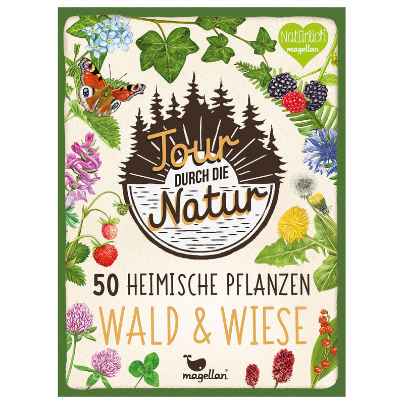 Wissenskarten TOUR DURCH DIE NATUR - 50 HEIMISCHE PFLANZEN von Magellan Verlag