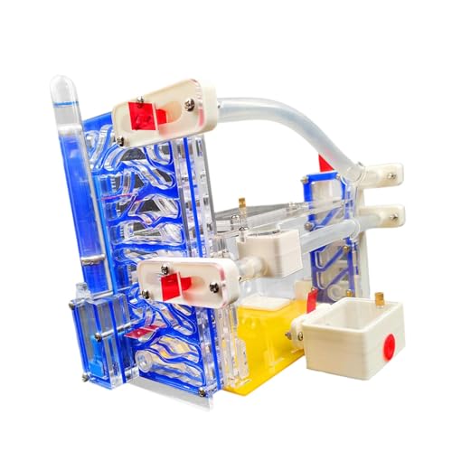 MagiDeal DIY Farm Nest Habitat Science Kit Moderne Beobachtung, mit Fütterungsbereich, für und Erwachsene, Workshop Lernspielzeug von MagiDeal