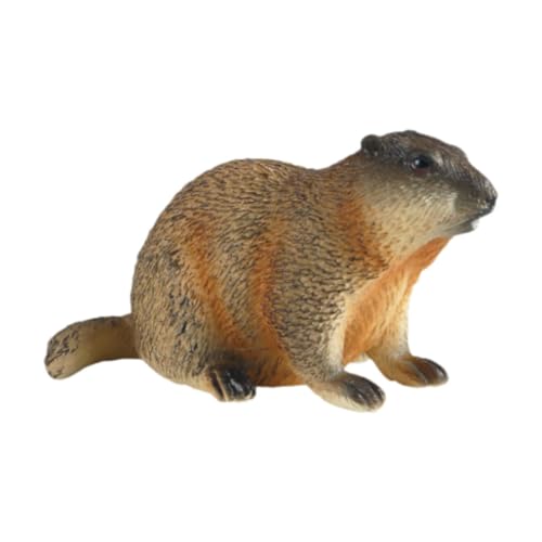 MagiDeal Groundhog Model Figur Marmots Skulptur Mini Realistic Home Decor Wildlife Figur Tiermodell für Partybevorzugungen Jungen Mädchen, Hocken MagiDeal Groundhog Model Figur Marmots Skulptur Mini Realistic Home Decor Wildlife Figur Tiermodell für Partybevorzugungen Jungen Mädchen, Hocken von MagiDeal