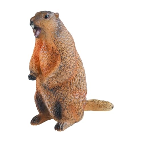 MagiDeal Groundhog Model Figur Marmots Skulptur Mini Realistic Home Decor Wildlife Figur Tiermodell für Partybevorzugungen Jungen Mädchen, Offener Mund MagiDeal Groundhog Model Figur Marmots Skulptur Mini Realistic Home Decor Wildlife Figur Tiermodell für Partybevorzugungen Jungen Mädchen, Offener Mund von MagiDeal