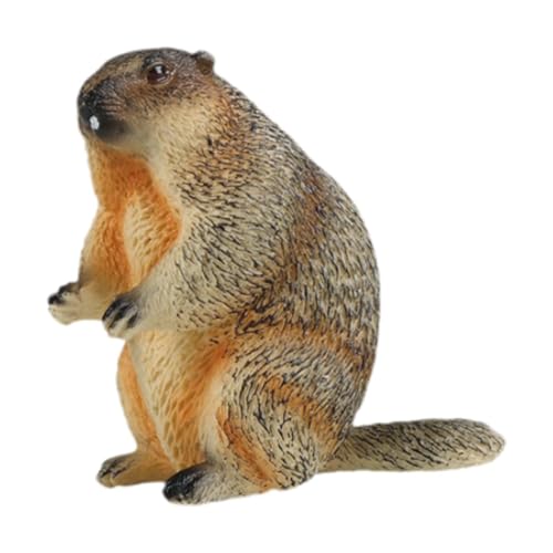 MagiDeal Groundhog Model Figur Marmots Skulptur Mini Realistic Home Decor Wildlife Figur Tiermodell für Partybevorzugungen Jungen Mädchen, Stehen MagiDeal Groundhog Model Figur Marmots Skulptur Mini Realistic Home Decor Wildlife Figur Tiermodell für Partybevorzugungen Jungen Mädchen, Stehen von MagiDeal
