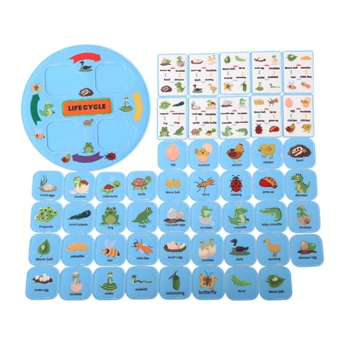 MagiDeal Lebenszyklus -Zyklus -Kit Animal Matching Game Birthday Gift Animal Learning Food Web für Vorschule 3 4 5 6 7 8 Klassenzimmer, Blau von MagiDeal