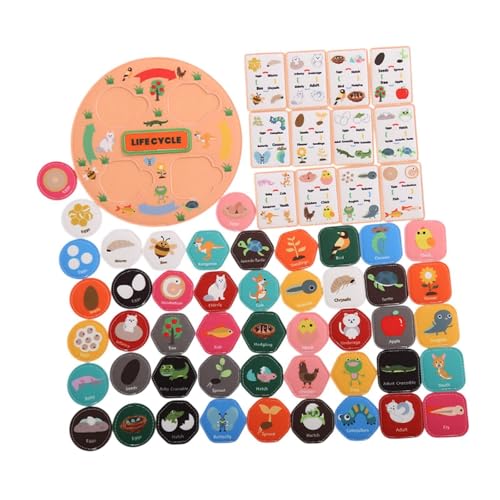 MagiDeal Lebenszyklus -Zyklus -Kit Animal Matching Game Birthday Gift Animal Learning Food Web für Vorschule 3 4 5 6 7 8 Klassenzimmer, Orange von MagiDeal
