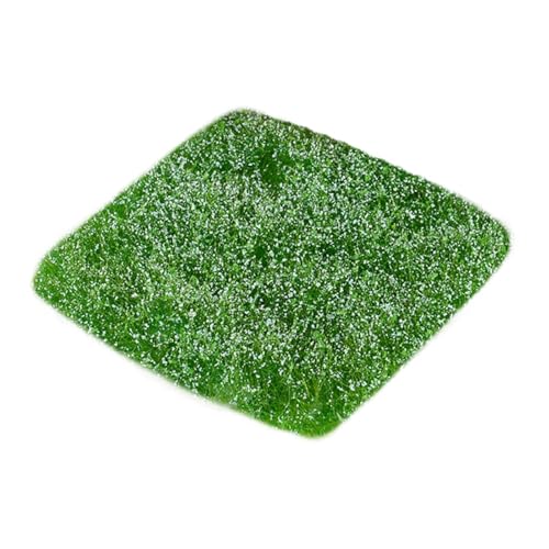 MagiDeal Miniatur -Gelände statisches Grasbüschel, falsche vielseitige künstliche Ornament Buschy Model Gras für Landschaft DIY Crafts Dollhouse, Blau MagiDeal Miniatur -Gelände statisches Grasbüschel, falsche vielseitige künstliche Ornament Buschy Model Gras für Landschaft DIY Crafts Dollhouse, Blau von MagiDeal