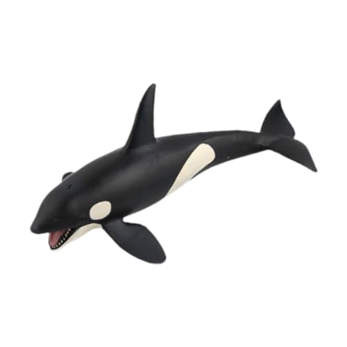 MagiDeal Realistische Wale Figuren Modell Marine Life Model Desktop Dekoration Tier Figuren Sammlerstücke für Kinder Geschenke MagiDeal Realistische Wale Figuren Modell Marine Life Model Desktop Dekoration Tier Figuren Sammlerstücke für Kinder Geschenke von MagiDeal