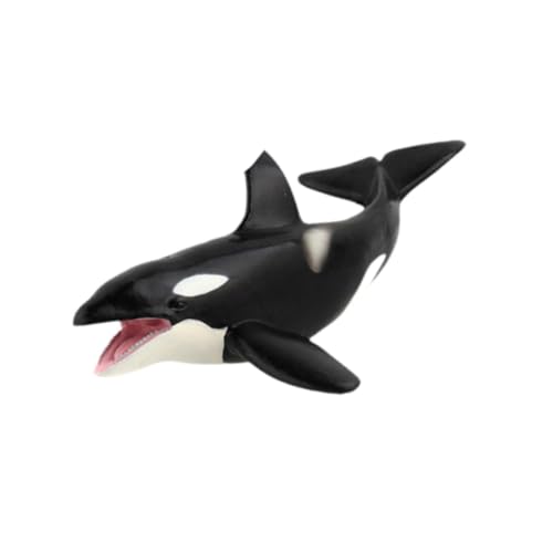MagiDeal Realistische Wale Figuren Modell Marine Life Model Desktop Dekoration Tier Figuren Sammlerstücke für Kinder Geschenke MagiDeal Realistische Wale Figuren Modell Marine Life Model Desktop Dekoration Tier Figuren Sammlerstücke für Kinder Geschenke von MagiDeal