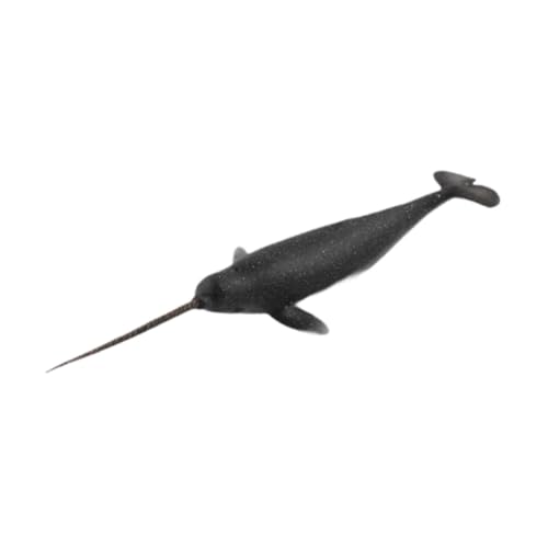 MagiDeal Realistische Wale Figuren Modell Marine Life Model Desktop Dekoration Tier Figuren Sammlerstücke für Kinder Geschenke MagiDeal Realistische Wale Figuren Modell Marine Life Model Desktop Dekoration Tier Figuren Sammlerstücke für Kinder Geschenke von MagiDeal
