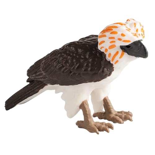 MagiDeal Simulation Philippine Eagle Spielset Wildlife Tier Miniatur Vogel Figuren Spielzeug für Kognitive Spielzeug Kuchen Topper Lernspielzeug von MagiDeal