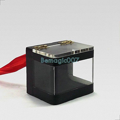 Magie des Mentalism Magie der Mentalism Magic Die Schalterbox aus Kristall/The Crystal Switch Box von Magie du mentalisme/Mentalism Magic