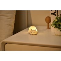Tiny Nachtlicht Katze von Mags Vertriebs GmbH