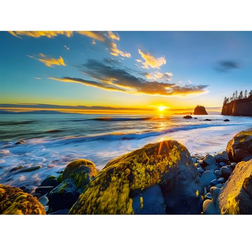 500-teiliges Puzzle für Erwachsene – Olympisches Nationalpark-Puzzle für Erwachsene, Kinder, Teenager, recycelter Karton, Sonnenuntergang, Strand, Puzzle, 500 Teile, herausforderndes Spiel für 500-teiliges Puzzle für Erwachsene – Olympisches Nationalpark-Puzzle für Erwachsene, Kinder, Teenager, recycelter Karton, Sonnenuntergang, Strand, Puzzle, 500 Teile, herausforderndes Spiel für von Maiqufa