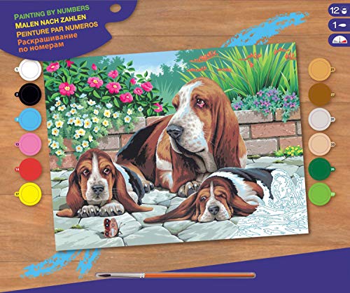 MAMMUT 8240044 - Malen nach Zahlen Senior, Bassethunde, Komplettset mit bedruckter Malvorlage im A3 Format, 12 Acrylfarben, Pinsel und Anleitung, großes Malset ab 10 Jahre von Mammut Spiel & Geschenk