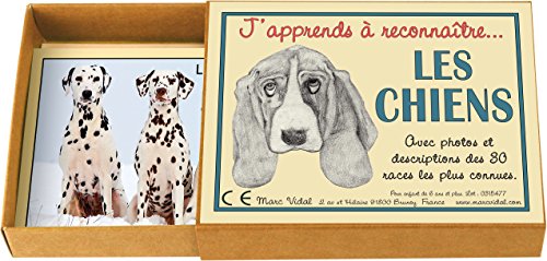 Marcvidal marcvidal477 Ich Lernen zu erkennen Hunde Educational Spielzeug Marcvidal marcvidal477 Ich Lernen zu erkennen Hunde Educational Spielzeug von Marcvidal