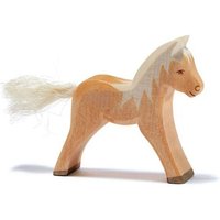Haflinger Fohlen Haflinger Fohlen von Margarete Ostheimer GmbH